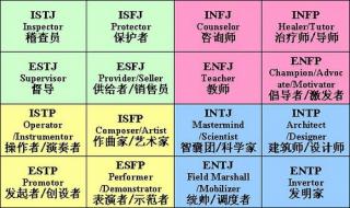 16型人格最受欢迎排行